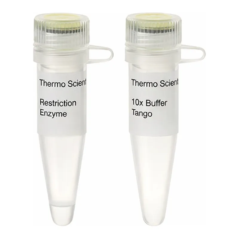 Thermo Fisher Scientific PdmI (XmnI) (10 U/μL), 500 units