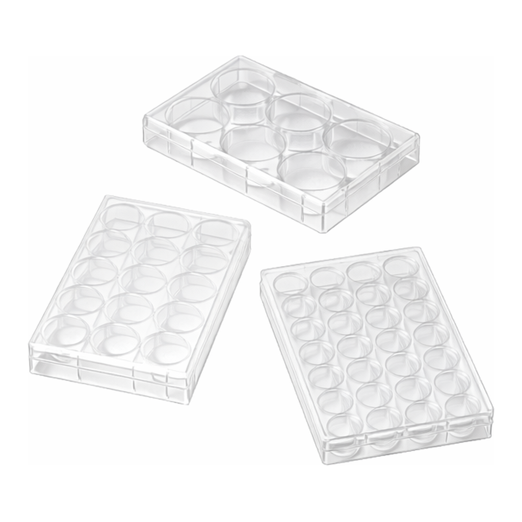 JET BIO-FILTRATION JET CellSCAFFOLD TM PS Treated 3D Cell Culture Plate