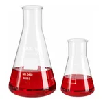 SciLab Eco Erlenmeyer Flask