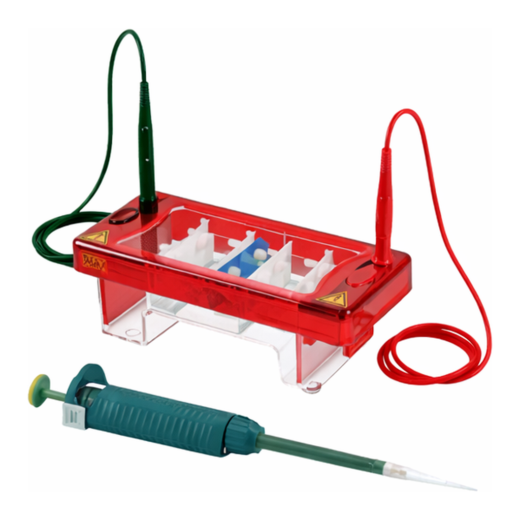 Biocomdirect Horizontal Electrophoresis System