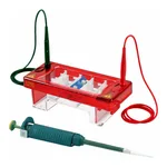 Biocomdirect Horizontal Electrophoresis System
