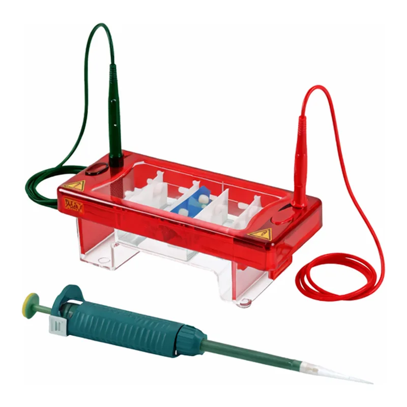 Biocomdirect Horizontal Electrophoresis System