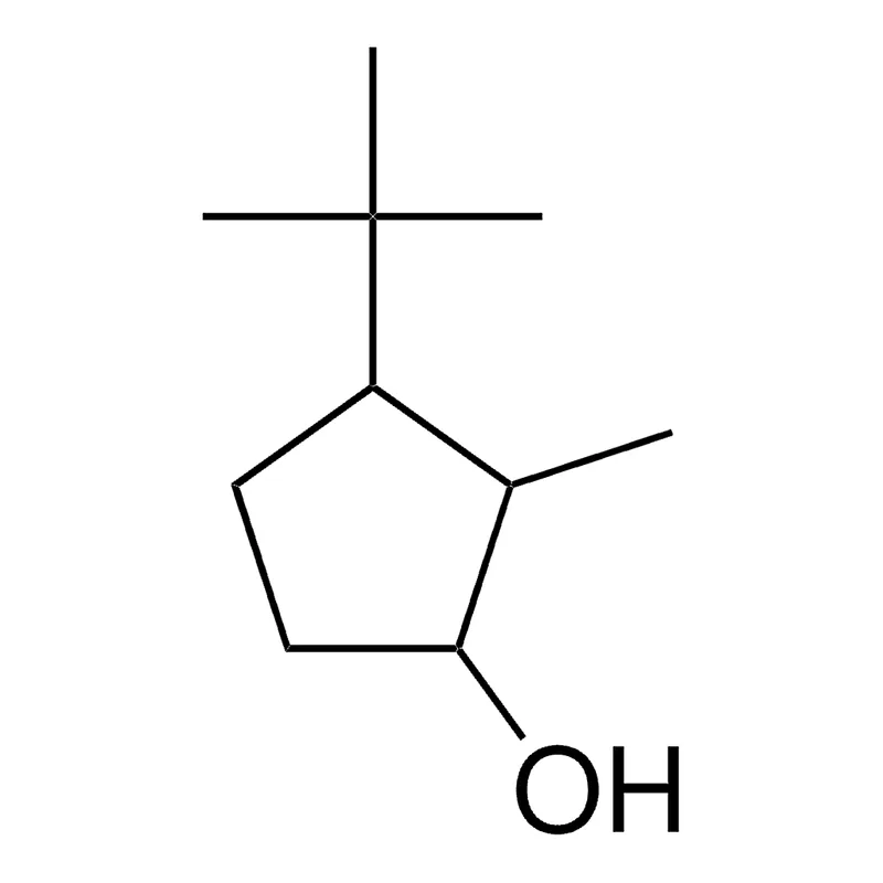 Merck 3-TERT-BUTYL-2-METHYLCYCLOPENTAN-