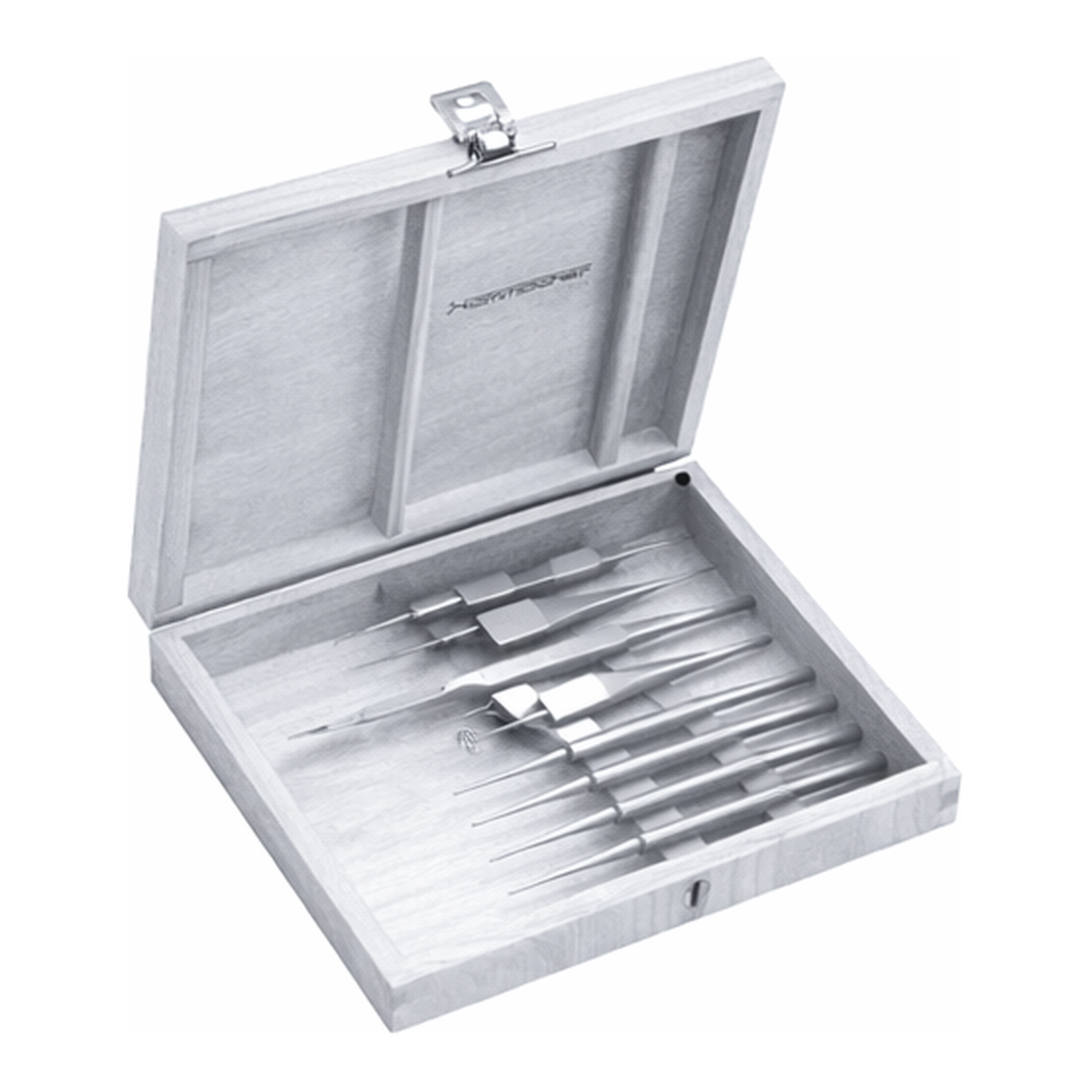 HAMMACHER Precision Micro Dissecting Set