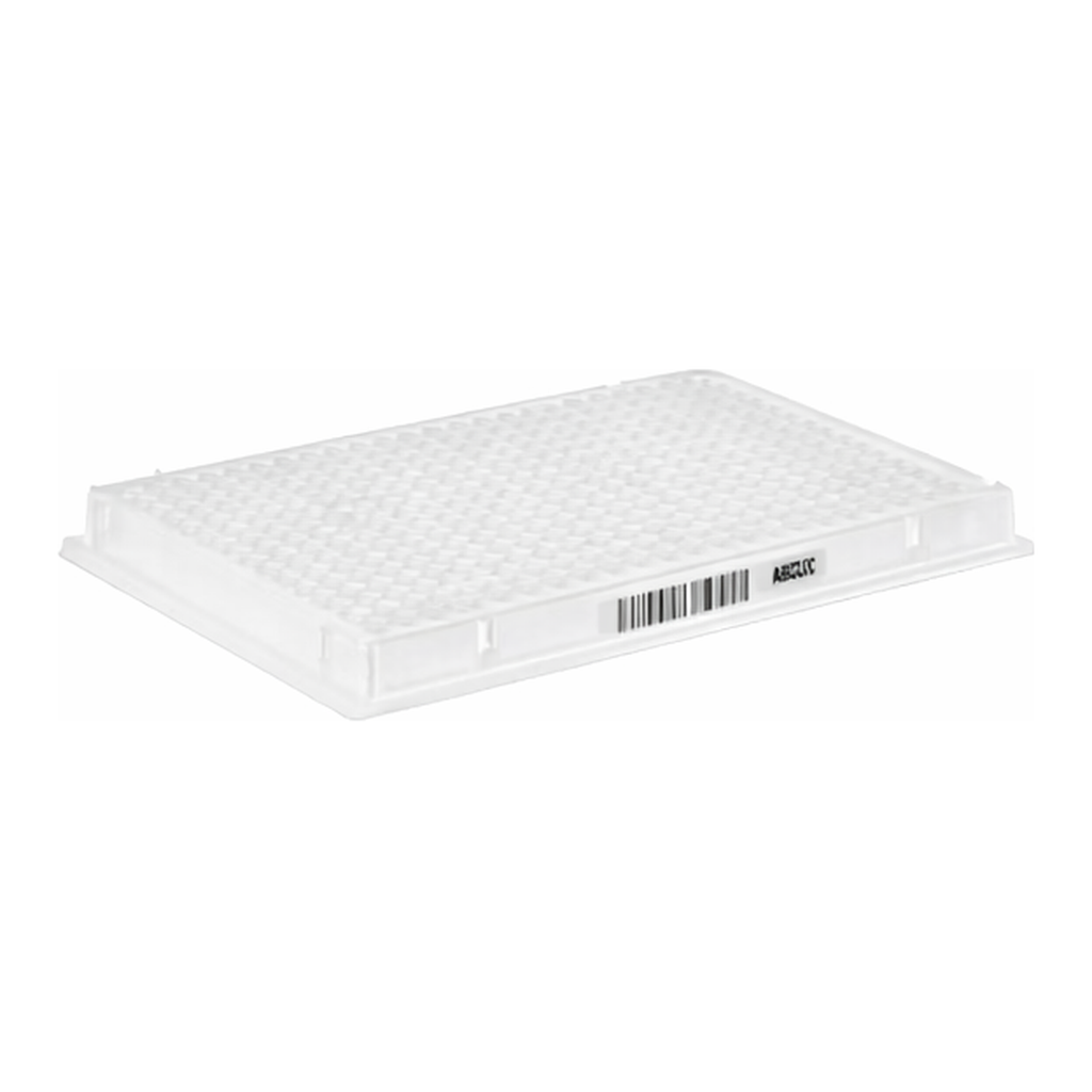 Thermo Fisher Scientific RNaseP Verification Plate, 384-well
