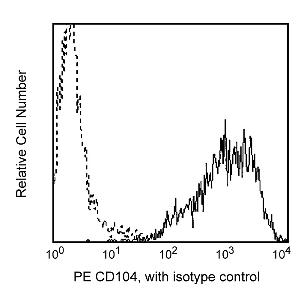 BD PE Rat Anti-Human CD104