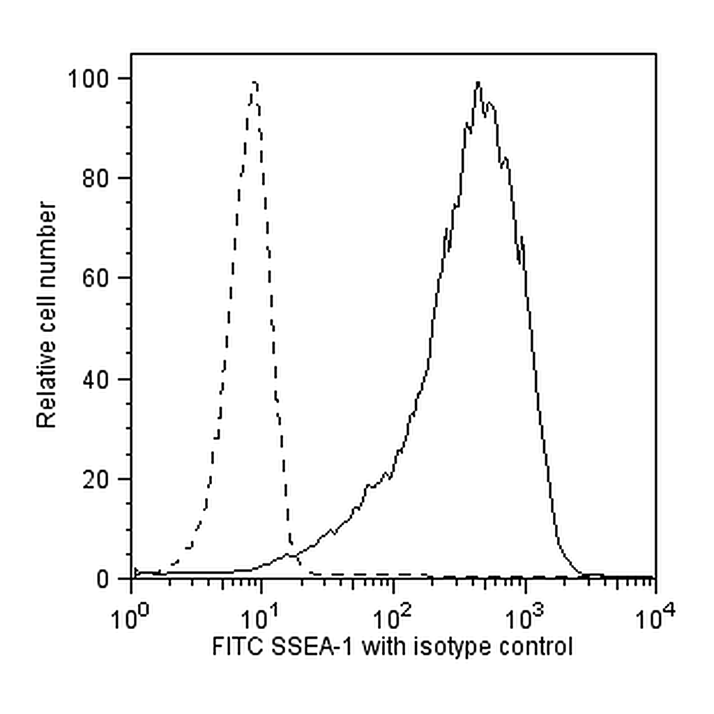 BD FITC Mouse anti-SSEA-1