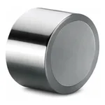 Waters Symmetry Silica C18 Prep Guard Cartridge, 100Å, 7 µm, 19 mm X 10 mm, 1/pk