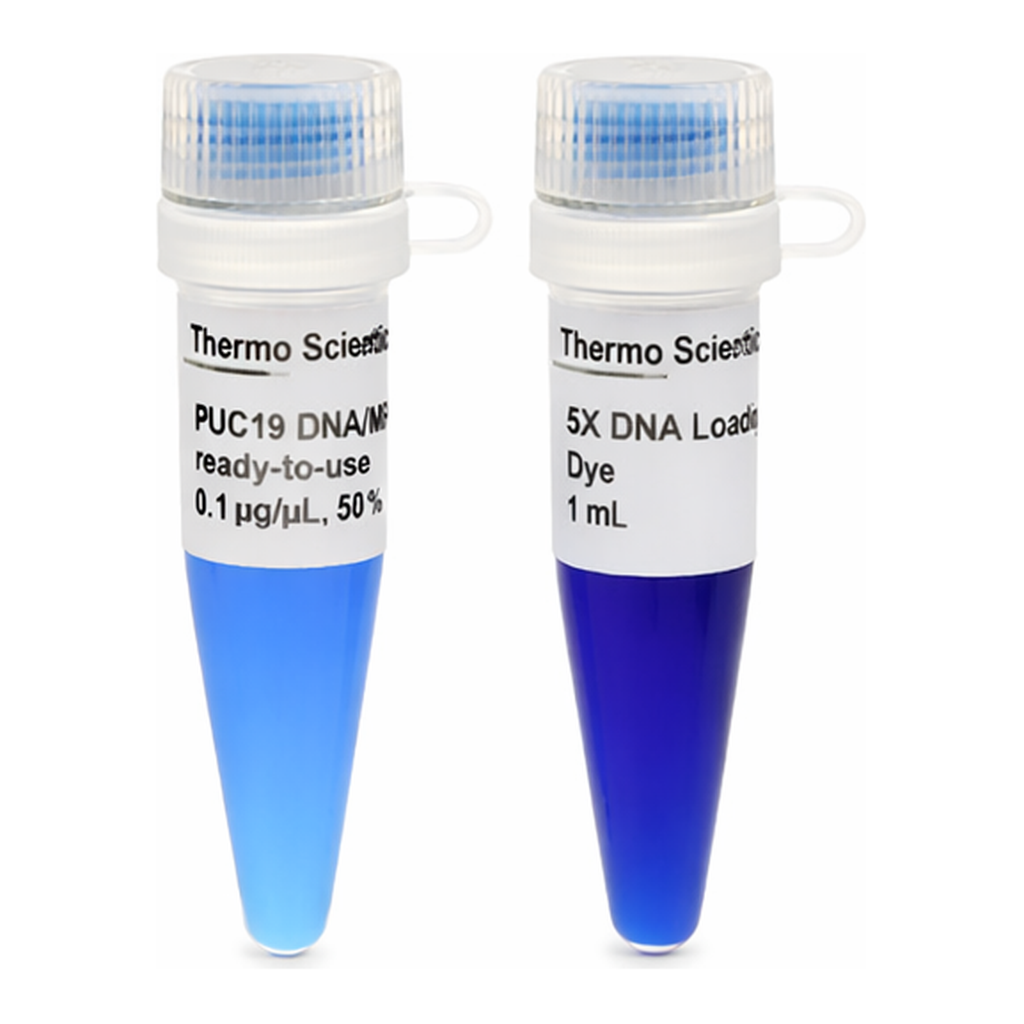 Thermo Fisher Scientific pUC19 DNA/MspI (HpaII) Marker, ready-to-use