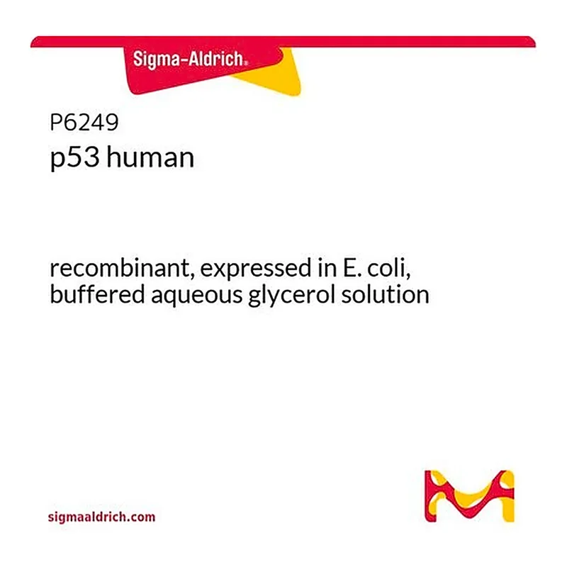 Merck p53 human