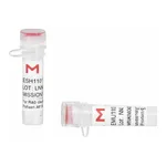 Merck MISSION(R) esiRNA
