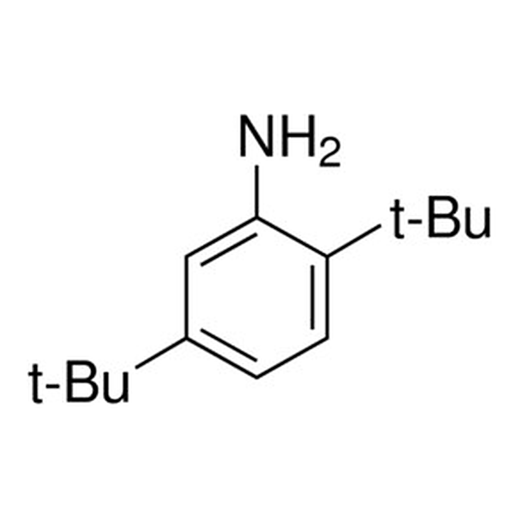 Merck 2,5-DI-TERT-BUTYLANILINE, 99%