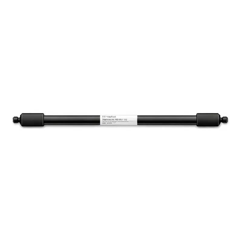 Agilent Agilent Bio SCX,NP5,4.6x250mm,PK