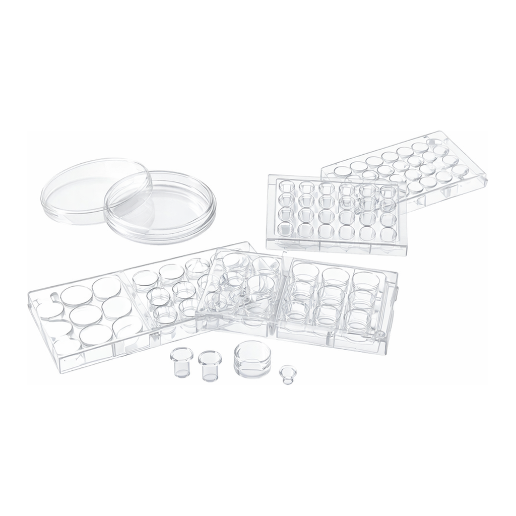Corning Transwell Permeable Supports, Polycarbonate (PC) Membrane