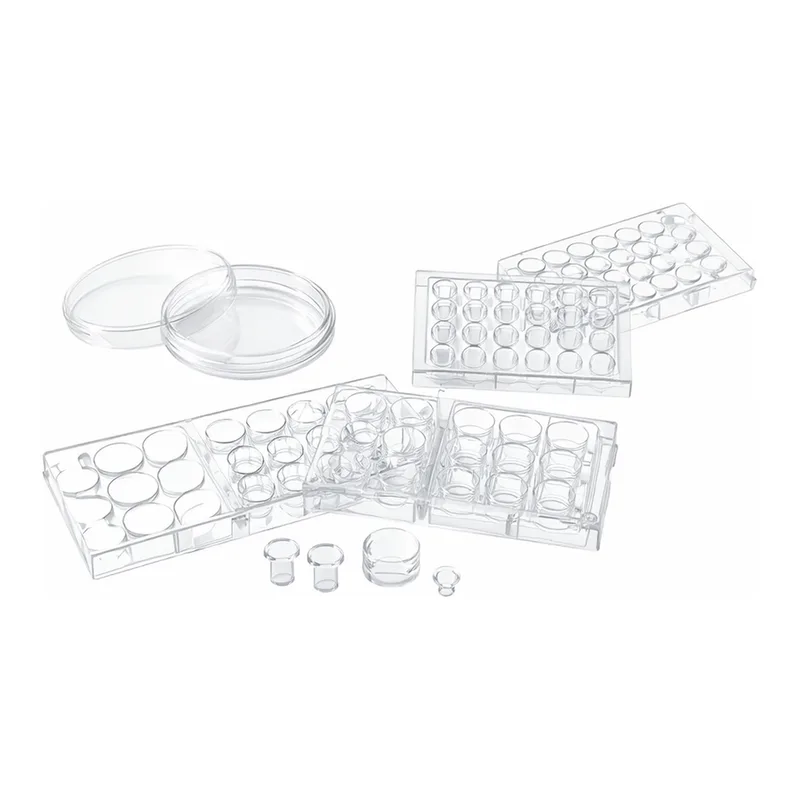Corning Transwell Permeable Supports, Polycarbonate (PC) Membrane