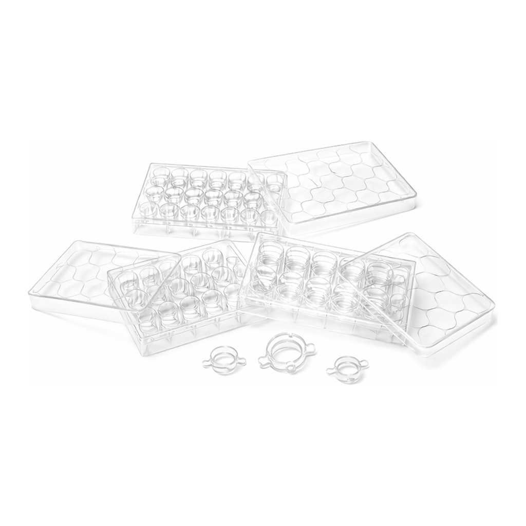 Corning Transwell-Clear Inserts, Polyester (PET) membrane