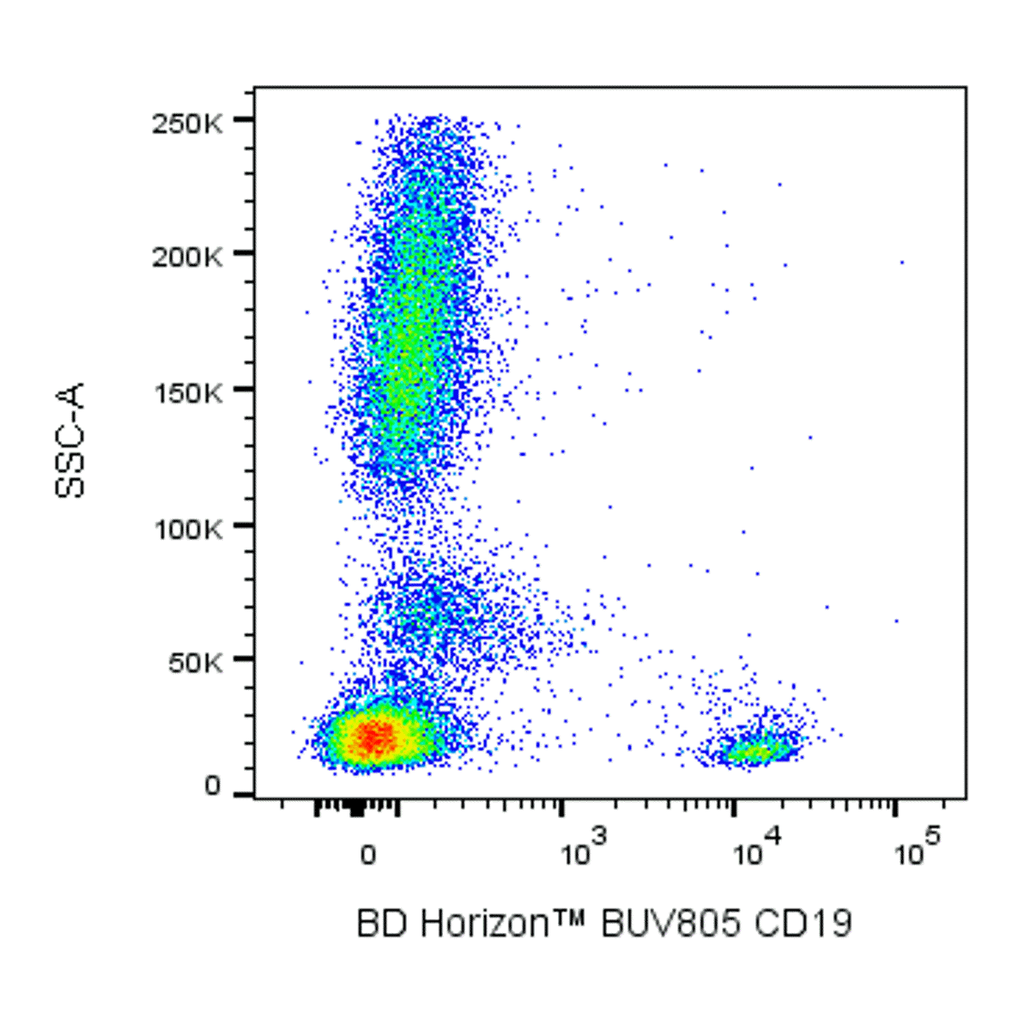 BD BUV805 Mouse Anti-Human CD19