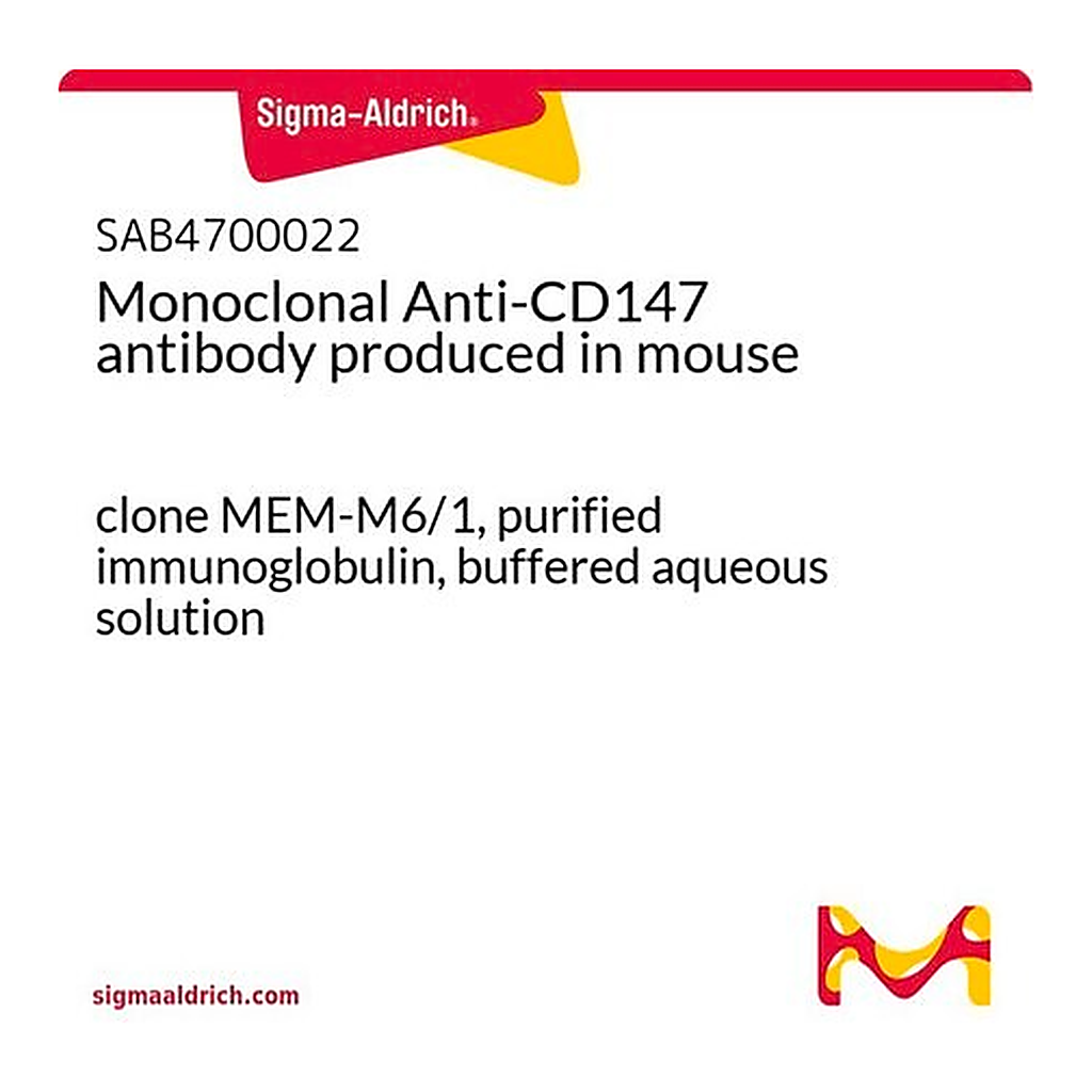 Merck Monoclonal Anti-CD147 antibody produced in mouse