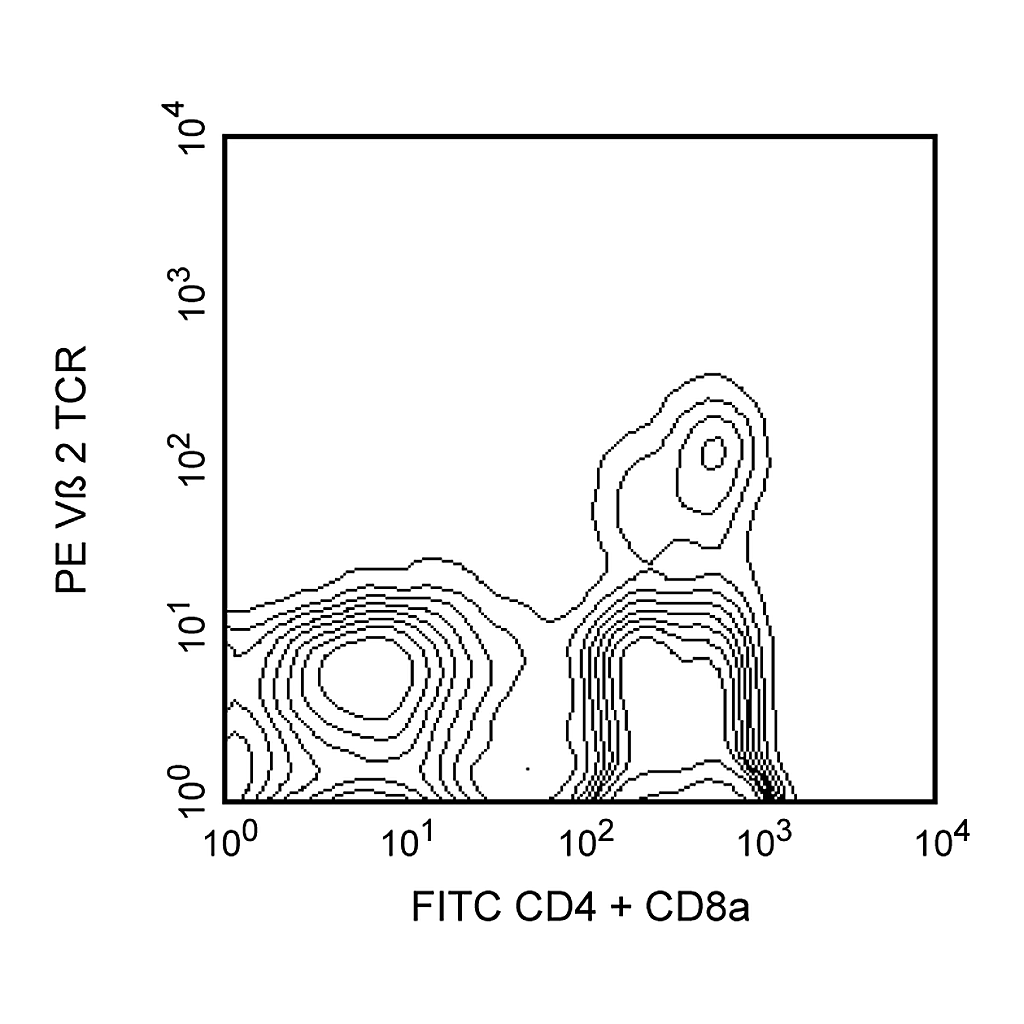 BD PE Rat Anti-Mouse Vβ 2 TCR
