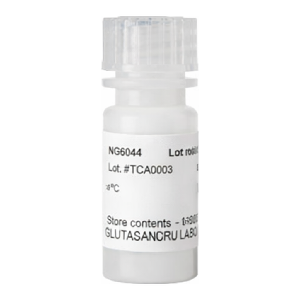 Thermo Fisher Scientific Pierce Protein A Magnetic Beads, 1 mL
