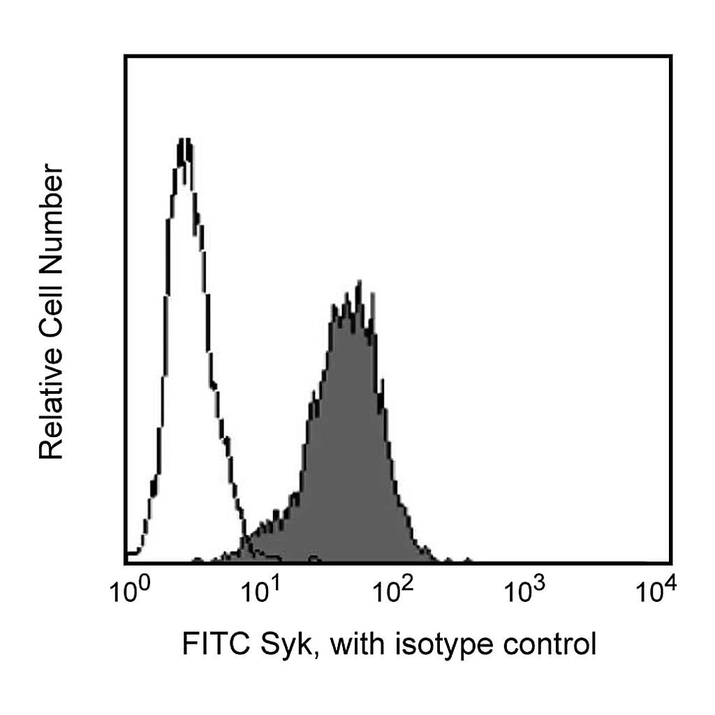 BD FITC Mouse Anti-Human Syk