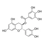 Merck (-)-CATECHIN GALLATE