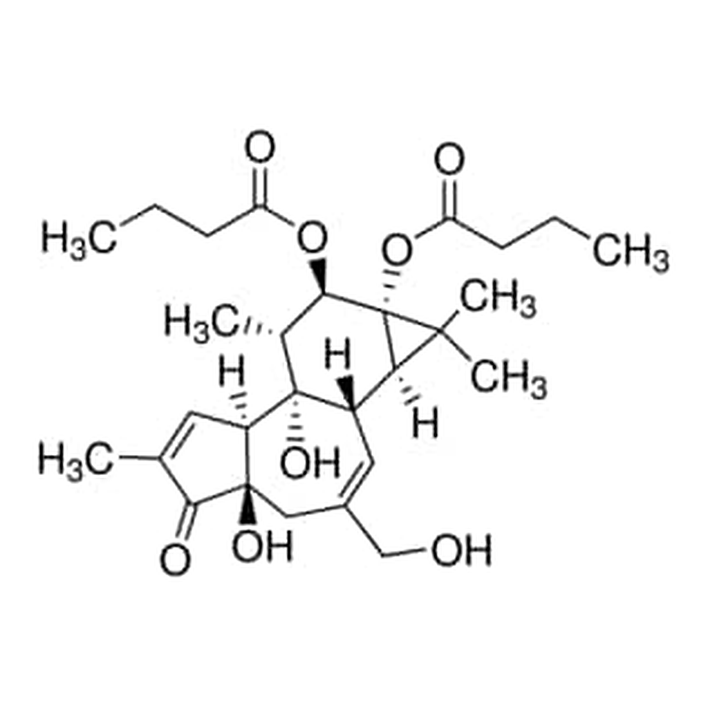 Merck PHORBOL 12,13-DIBUTYRATE