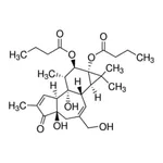 Merck PHORBOL 12,13-DIBUTYRATE
