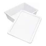 Scilabware 10 Lit PP Sterilizing Tray and Optional PS Lid