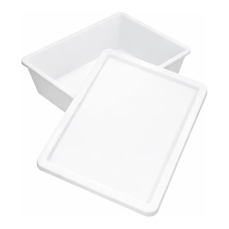 Scilabware 10 Lit PP Sterilizing Tray and Optional PS Lid