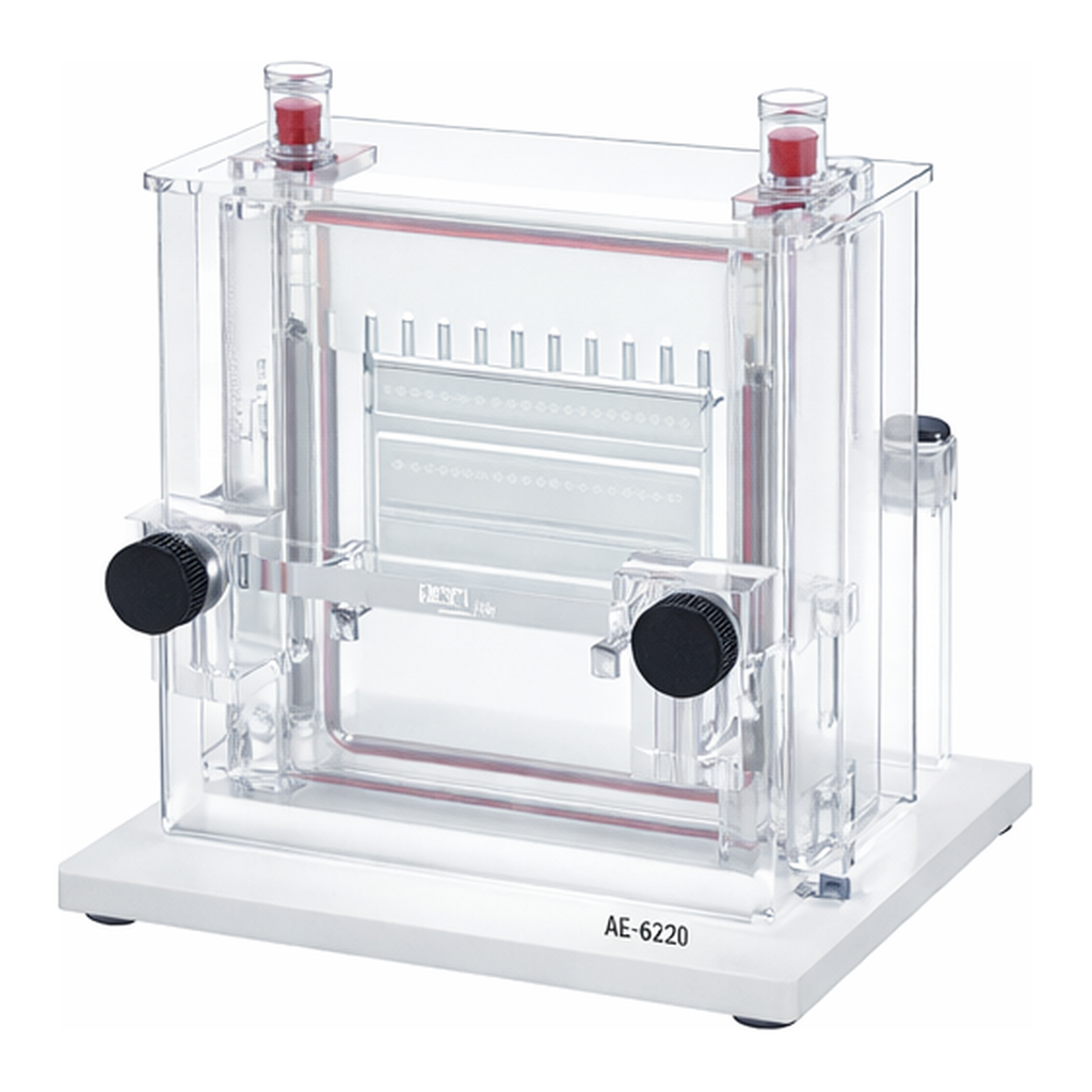 ATTO ATTO”Slab-size Electrophoresis System