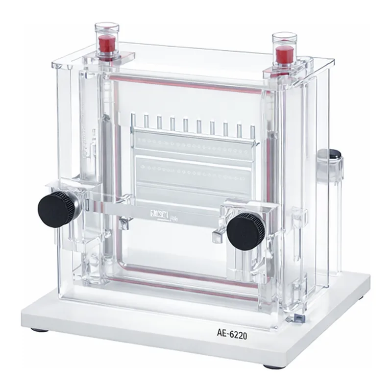 ATTO ATTO”Slab-size Electrophoresis System