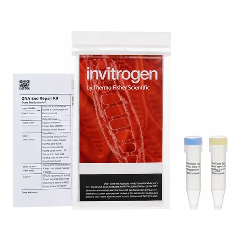 Thermo Fisher Scientific Anza DNA End Repair Kit