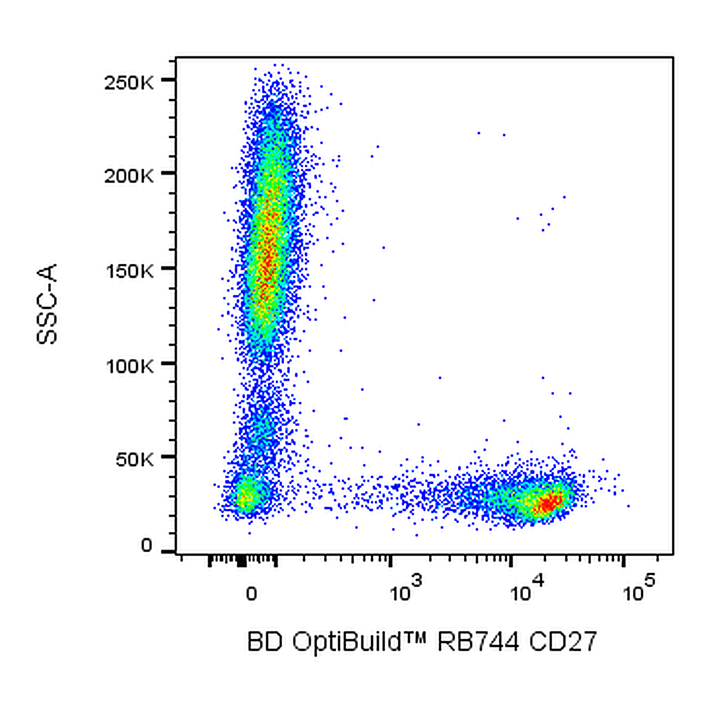 BD RB744 Mouse Anti-Human CD27