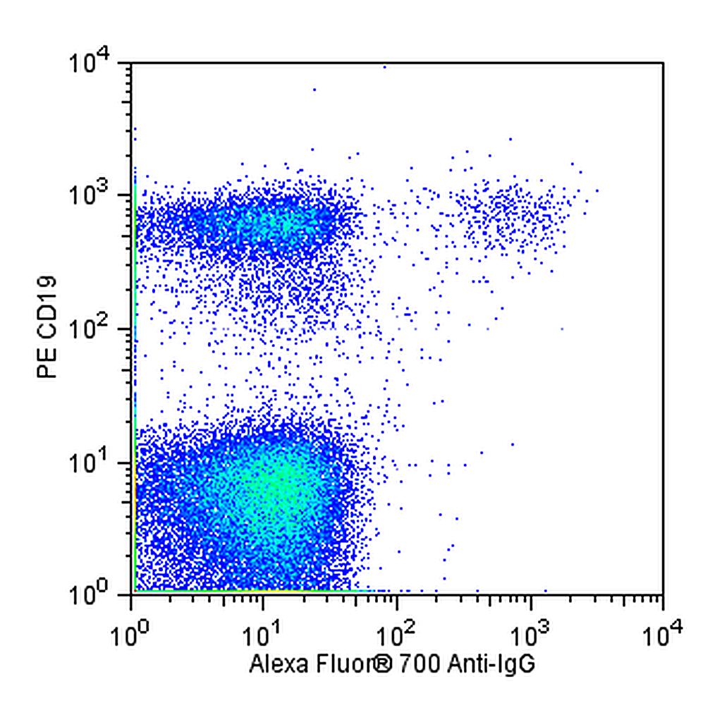 BD Alexa Fluor® 700 Mouse Anti-Human IgG
