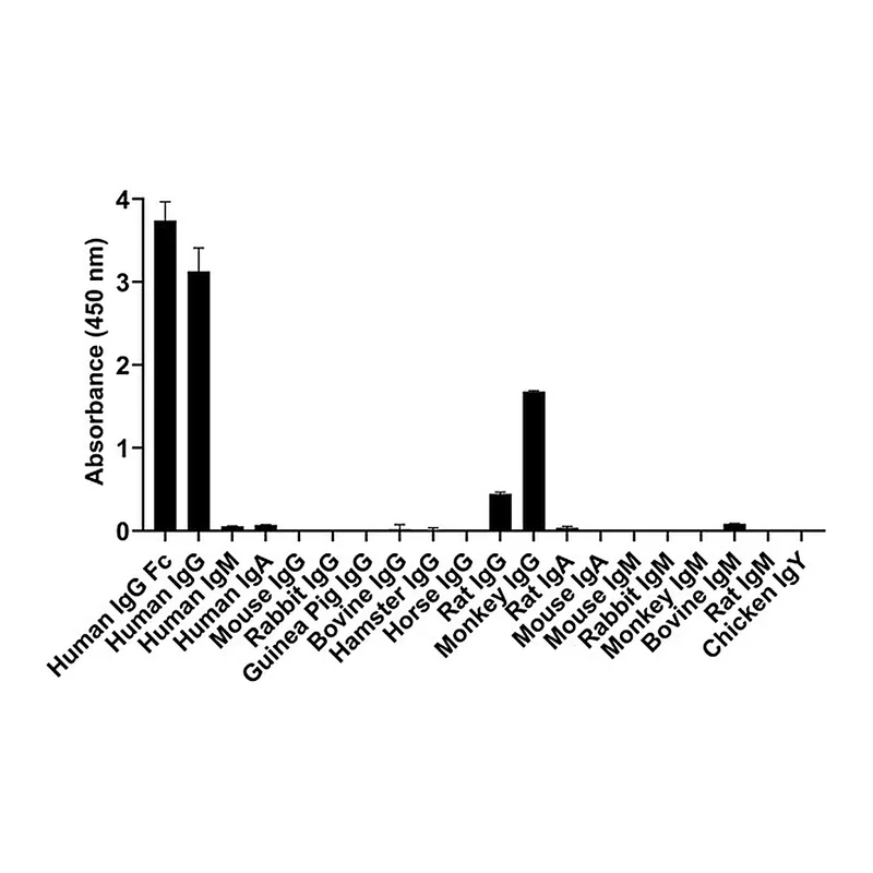 Thermo Fisher Scientific Goat anti-Human IgG Fc Recombinant Secondary Antibody, Alexa Fluor 647