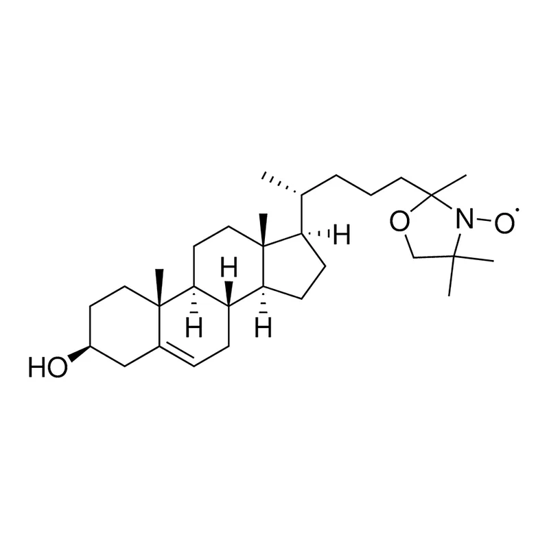 Merck CNO
