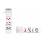 Merck MISSION(R) esiRNA