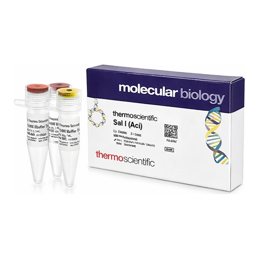 Thermo Fisher Scientific SsiI (AciI) (10 U/&mu;L)
