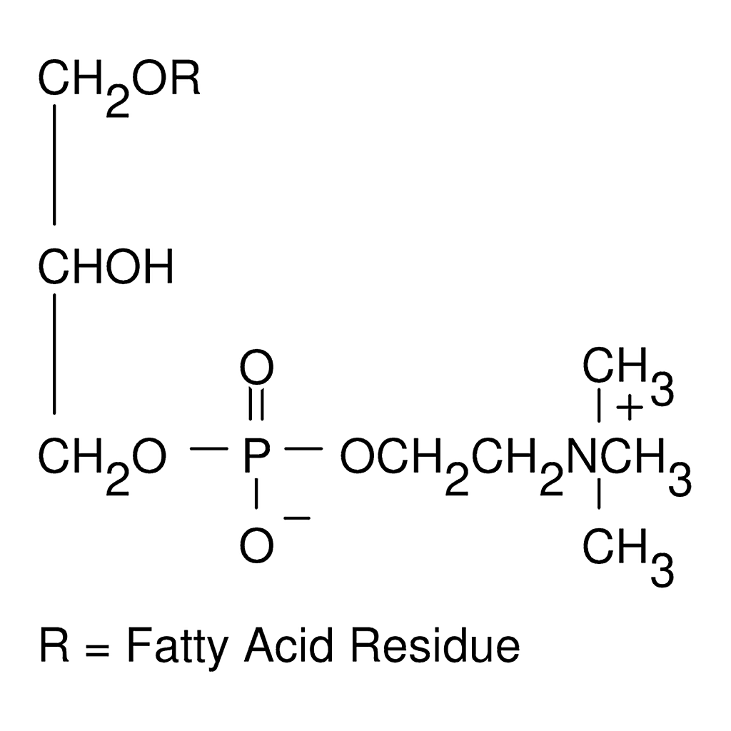 Merck L-alpha-Lysophosphatidylcholine from egg yolk