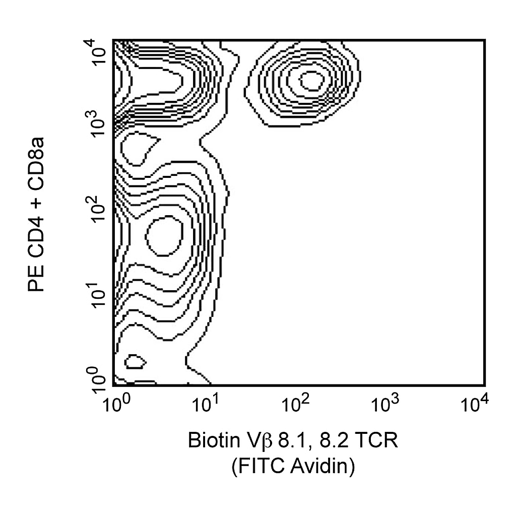 BD Biotin Mouse Anti-Mouse Vβ 8.1, 8.2 TCR