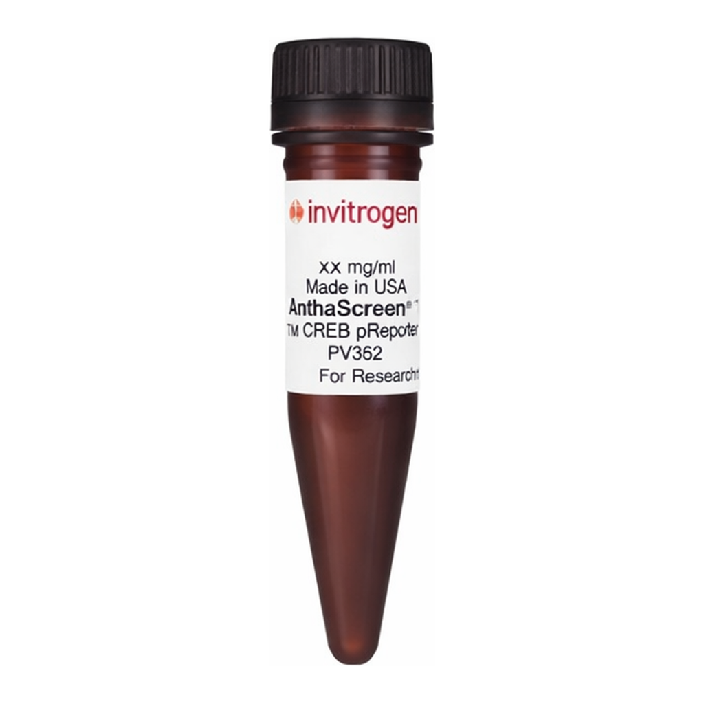 Thermo Fisher Scientific LanthaScreen Tb-CREB [pSER133] Antibody