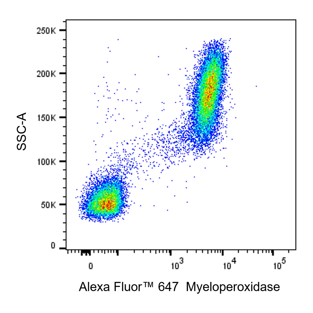 BD Alexa Fluor 647 Mouse Anti-Human Myeloperoxidase
