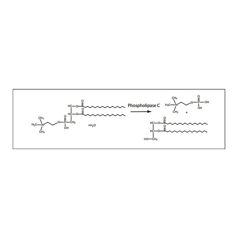 Merck Phospholipase C from Clostridium perfringens (C. welchii)