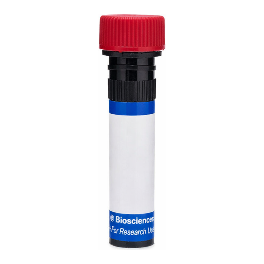 BD RB670 Mouse Anti-Human CD271 (NGF Receptor)
