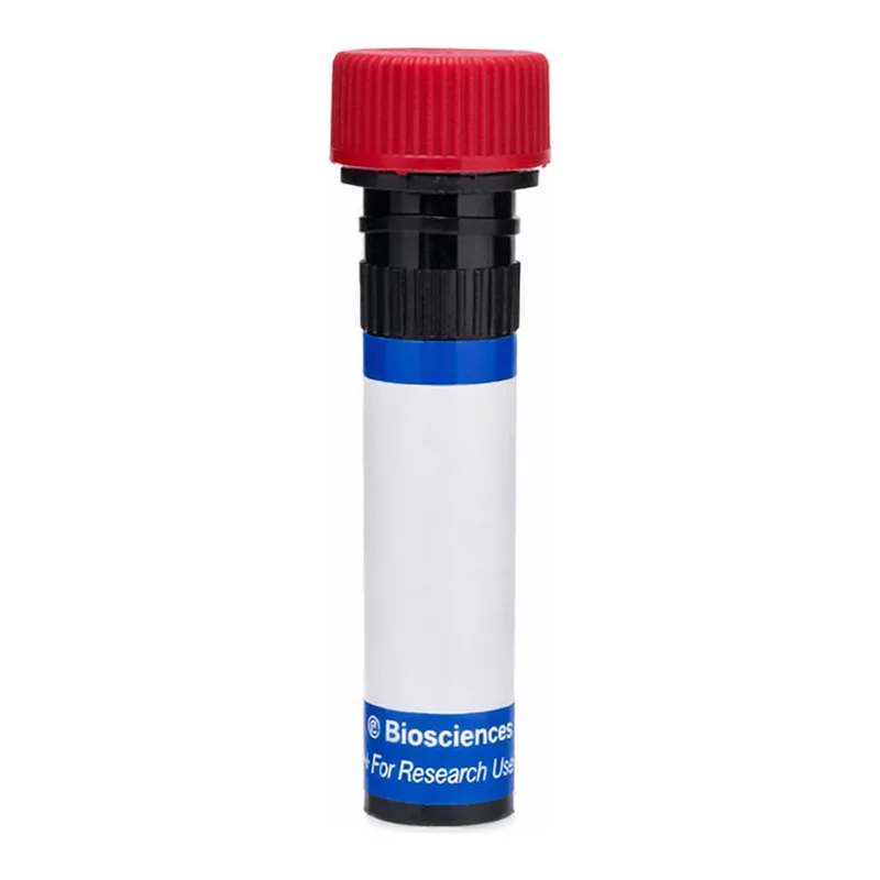 BD RB670 Mouse Anti-Human CD271 (NGF Receptor)