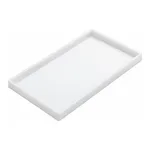 azlon PP Instrument Trays