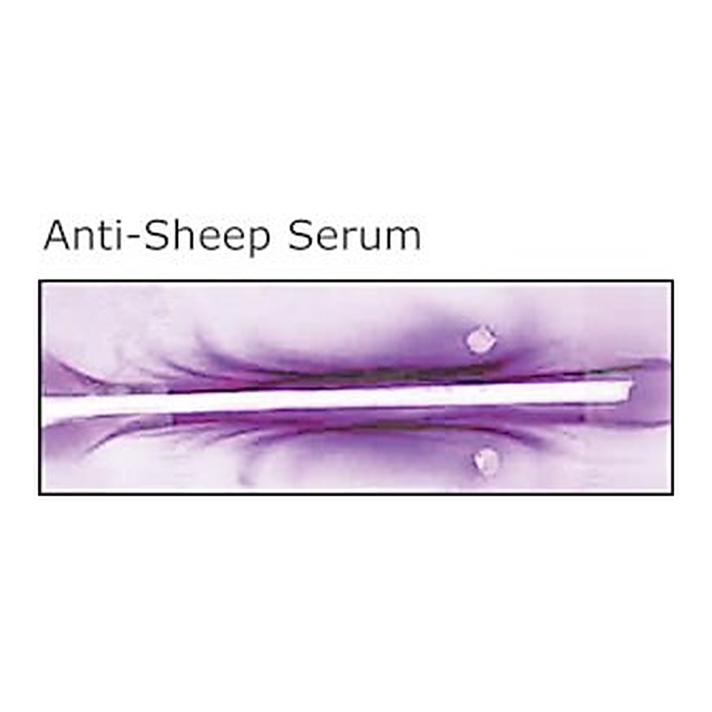 Merck ANTI-SHEEP WHOLE SERUM DEVELOPED IN