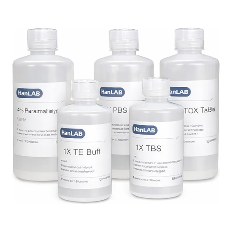HanLAB HANLAB RIPA Buffer