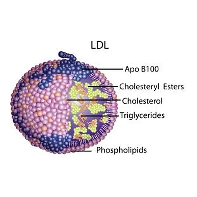 Merck LIPOPROTEIN, LOW DENSITY FROM HUMAN PLAS